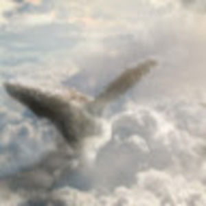 Meet your Posher, Maxwell